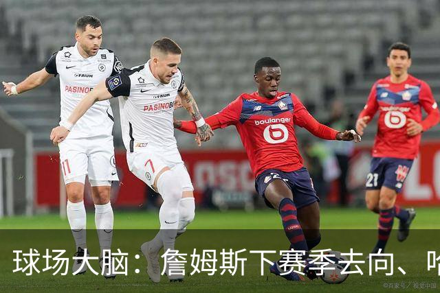 球场大脑：詹姆斯下赛季去向、哈利伯顿恢复进程&布伦森为何特别